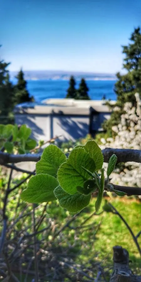 Apartments Matejcic Crikvenica Croatia